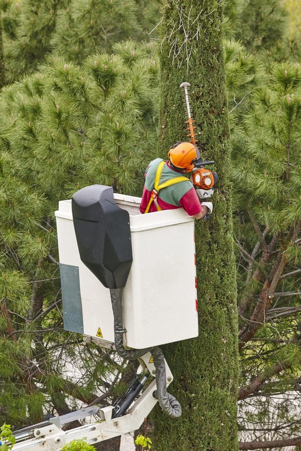 Guide sur les mini-grues d’occasion : tout savoir sur le sujet